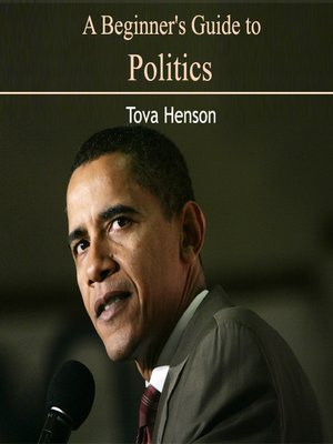 cover image of A Beginner's Guide to Politics